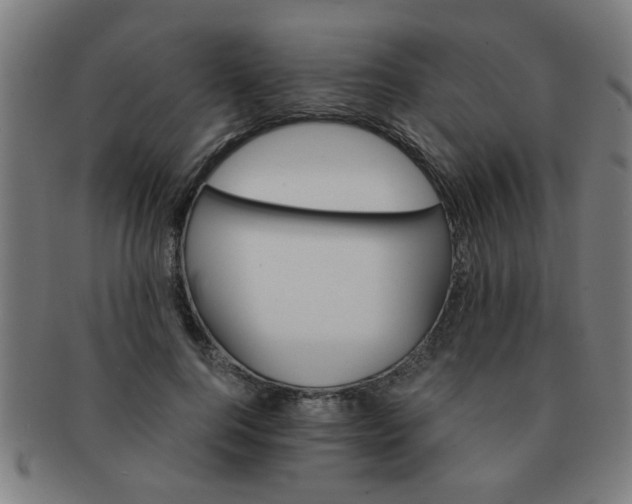 X0000091360744200708241310