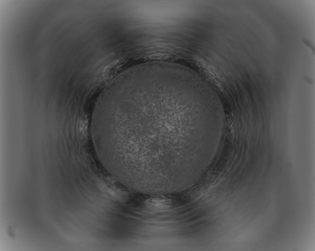 X0000091360745200708241310