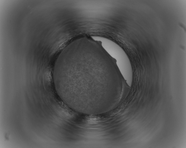 X0000091360746200708241310