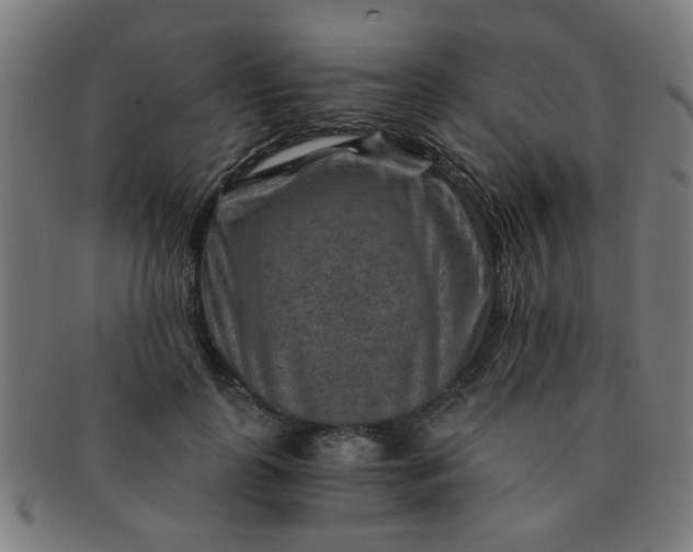 X0000091360747200708241310