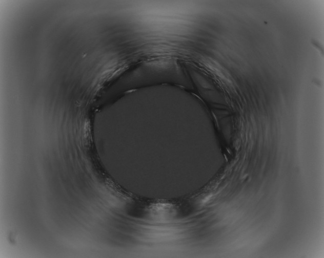 X0000091360748200708241310