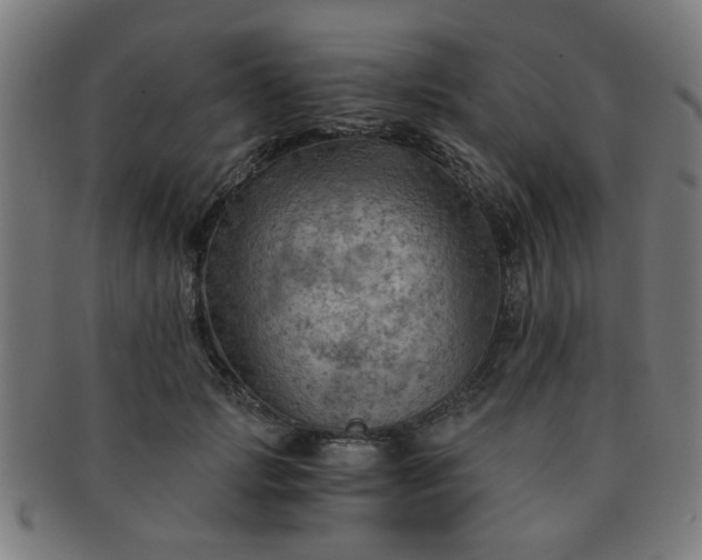 X0000091360749200708241310
