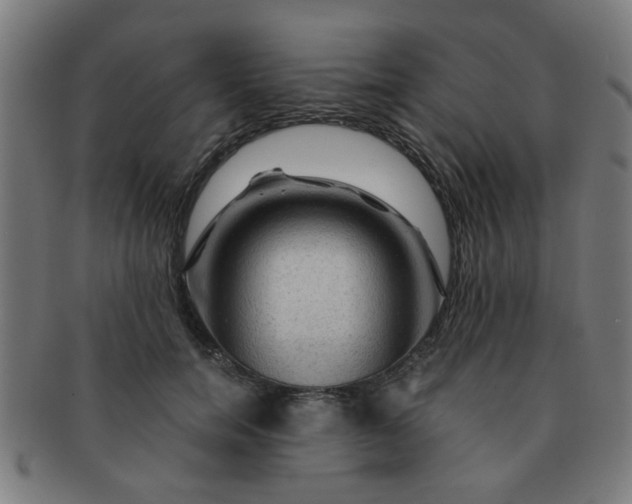 X0000091360750200708241310