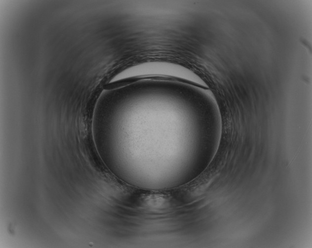 X0000091360751200708241310