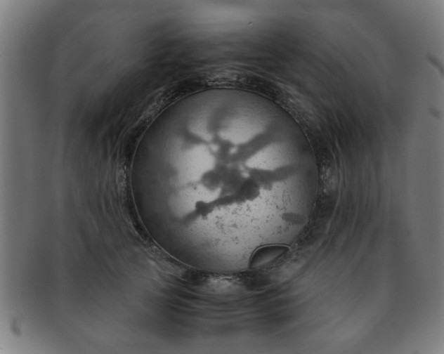 X0000091360753200708241310