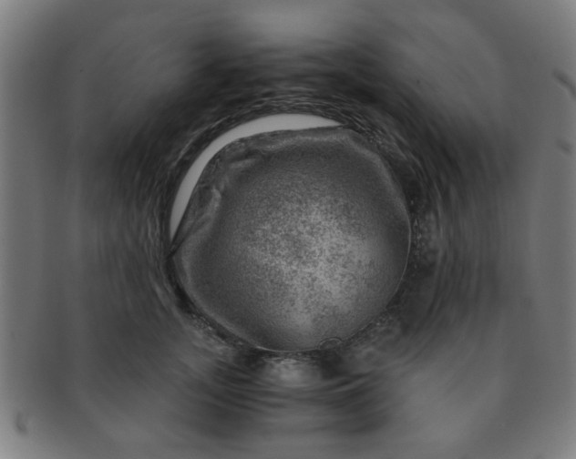 X0000091360755200708241310