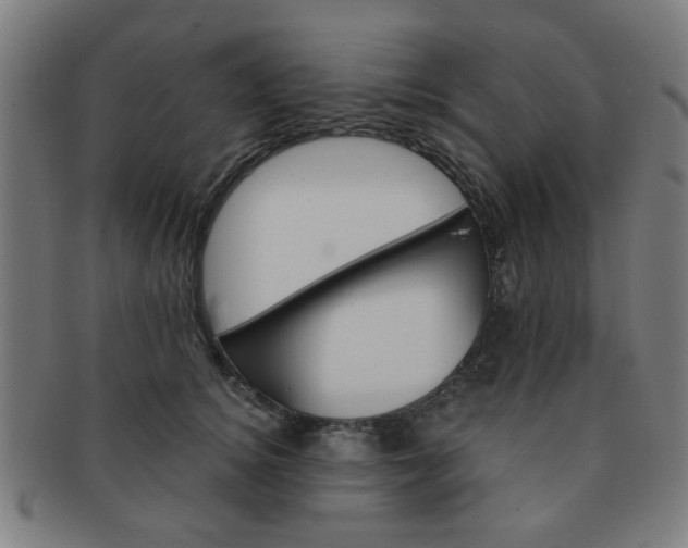 X0000091360756200708241310