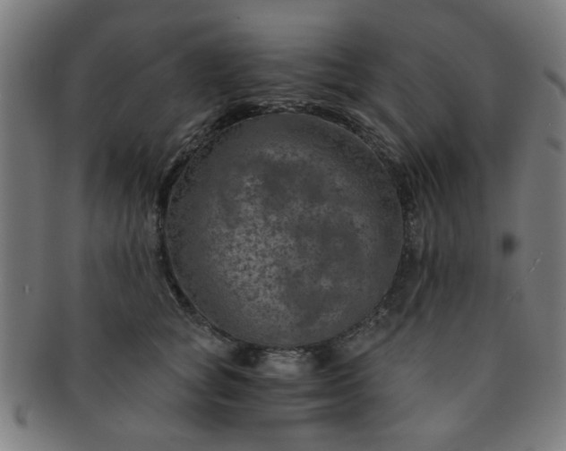 X0000091360757200708241310