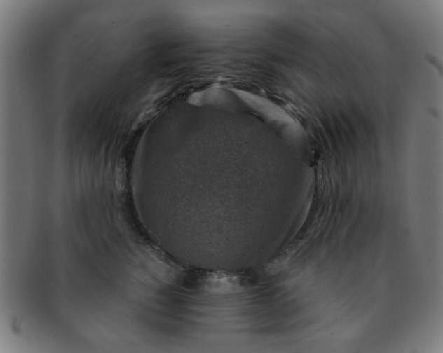X0000091360760200708241310