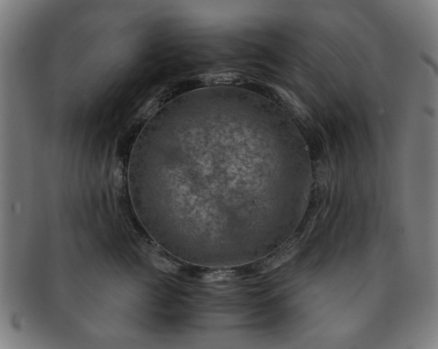 X0000091360761200708241310