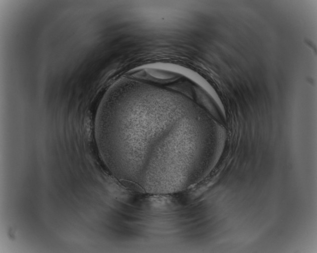 X0000091360762200708241310