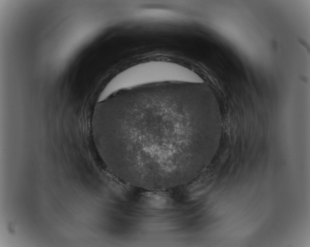 X0000091360763200708241310