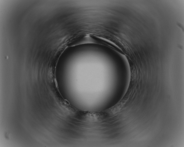 X0000091360764200708241310