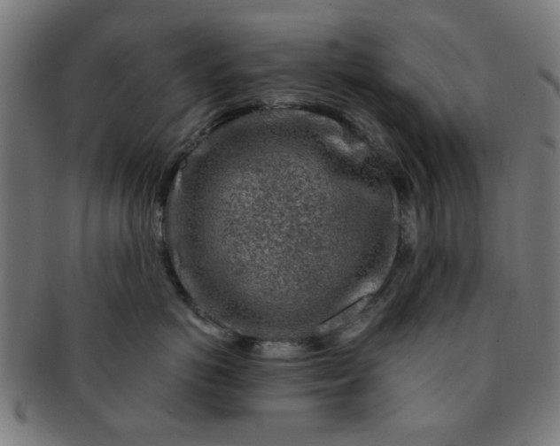 X0000091360766200708241310