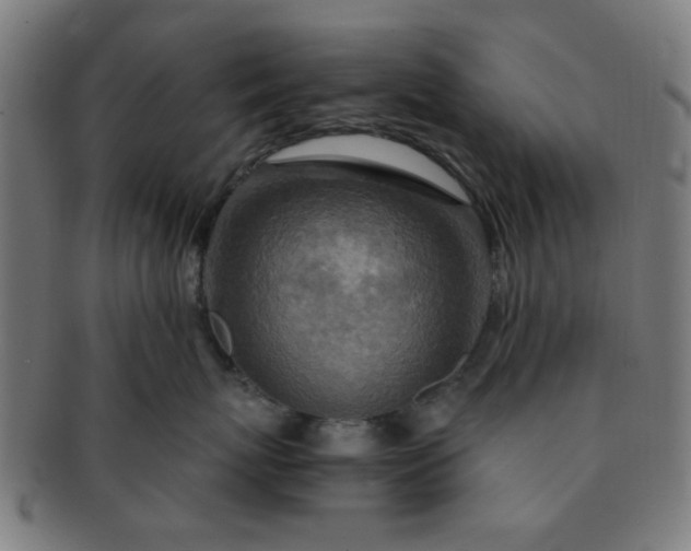 X0000091360767200708241310