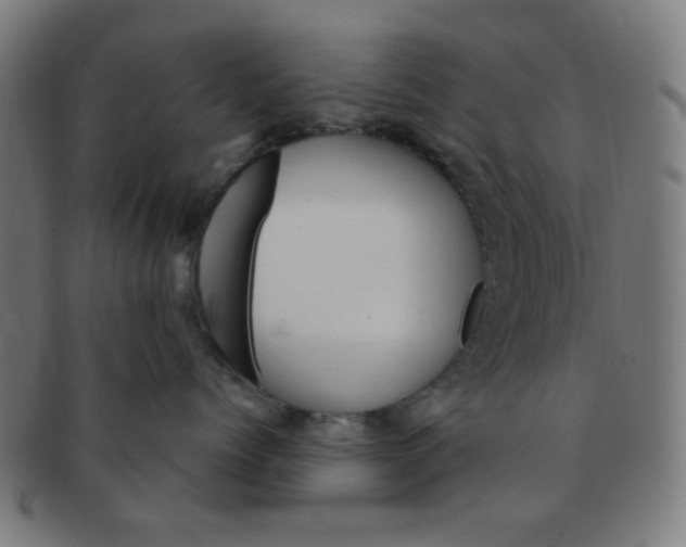 X0000091360768200708241310
