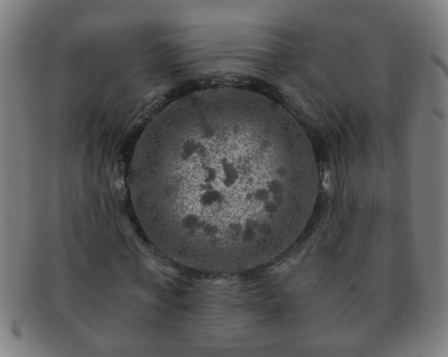 X0000091360771200708241309