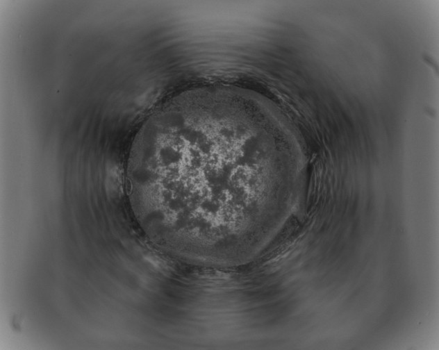 X0000091360772200708241309