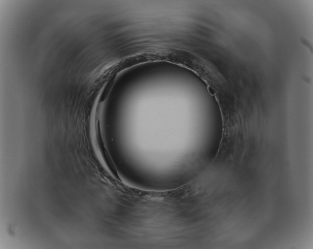 X0000091360773200708241309
