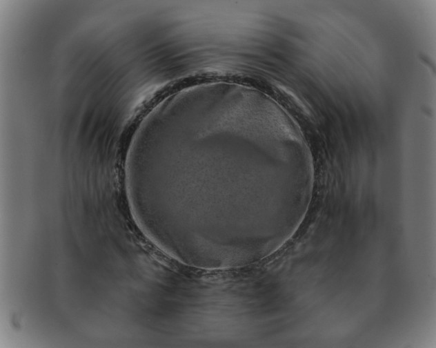 X0000091360776200708241309