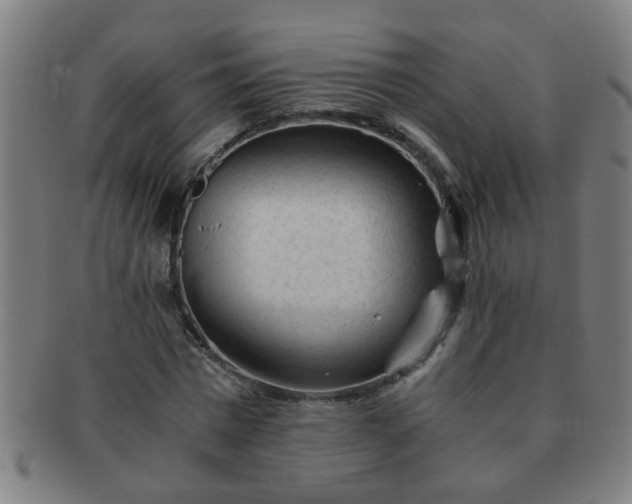 X0000091360777200708241309