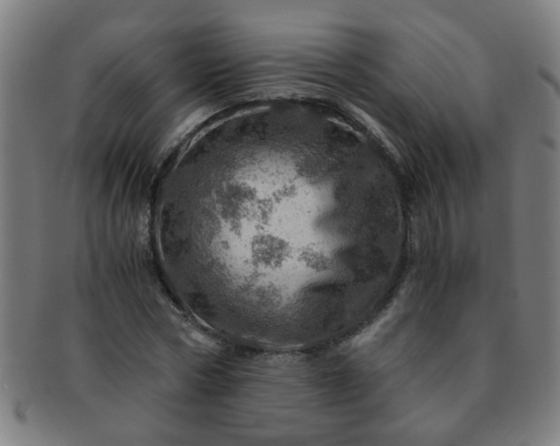 X0000091360778200708241309