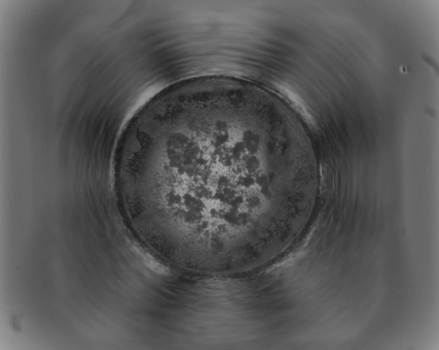 X0000091360780200708241309