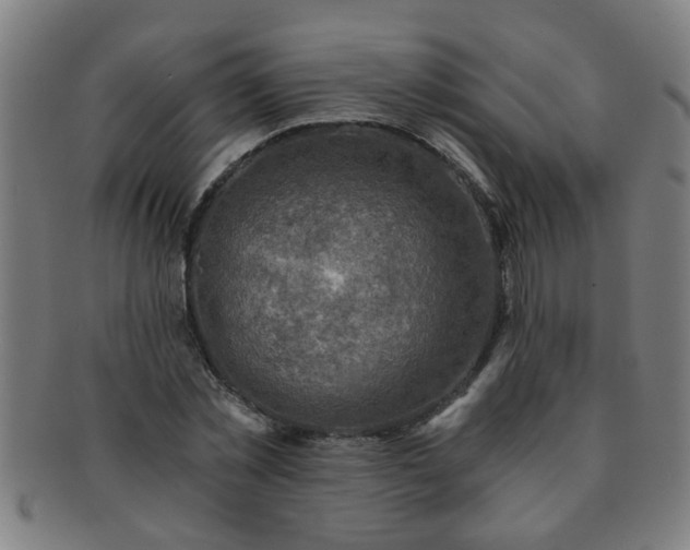 X0000091360781200708241309