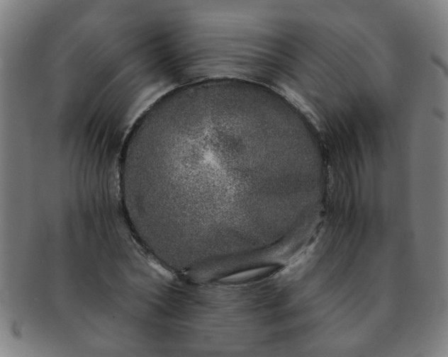 X0000091360782200708241309