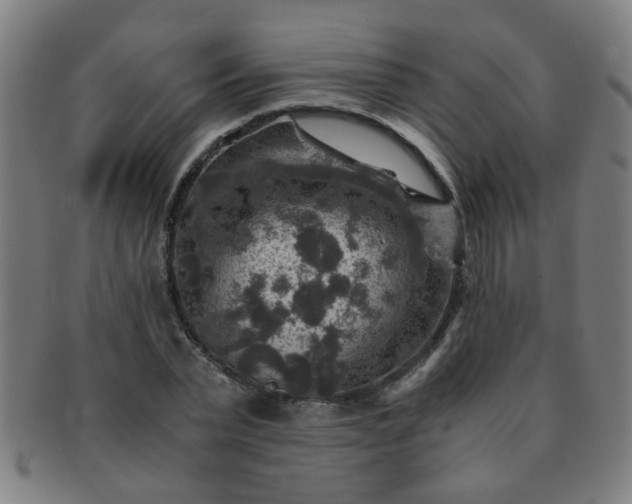X0000091360783200708241309