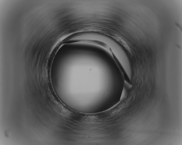 X0000091360784200708241309
