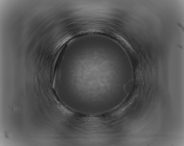 X0000091360785200708241309