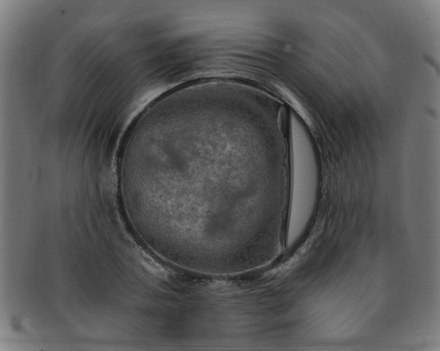 X0000091360787200708241309