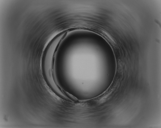 X0000091360788200708241309
