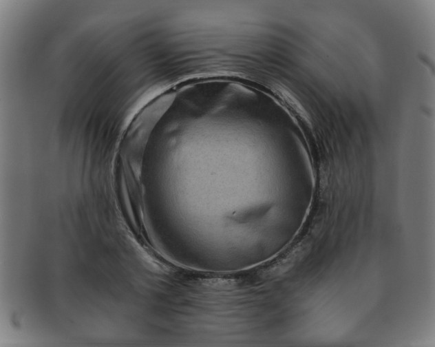 X0000091360789200708241309