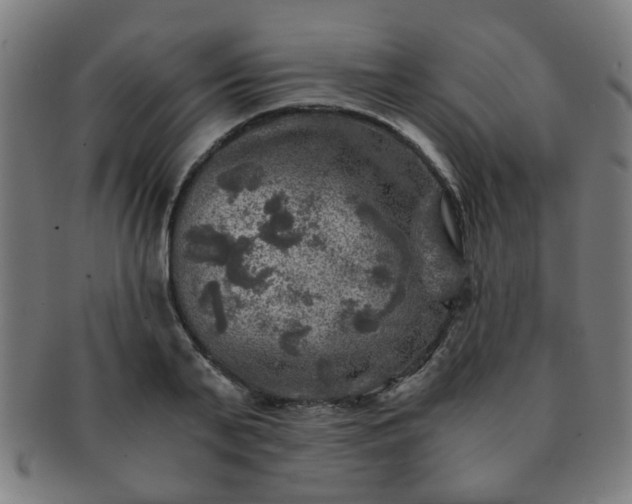 X0000091360791200708241309