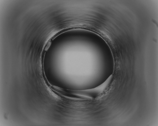 X0000091360792200708241309
