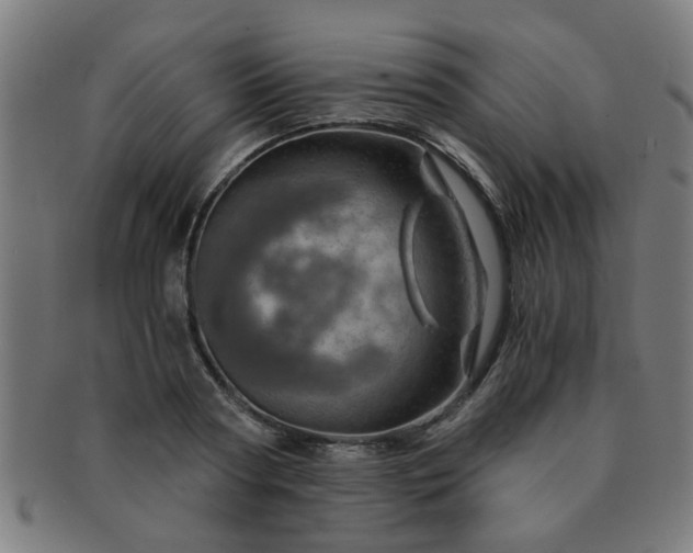 X0000091360794200708241309
