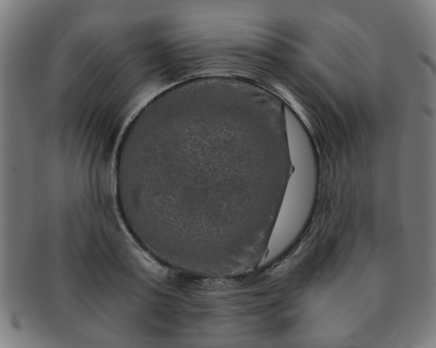 X0000091360795200708241309