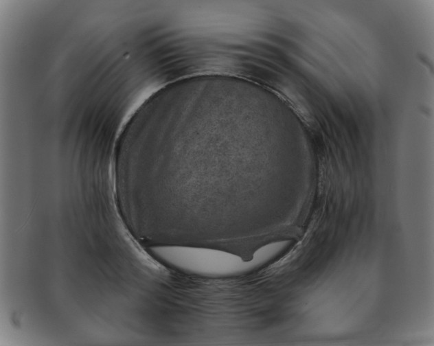 X0000091360796200708241309