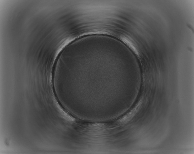 X0000091360797200708241309