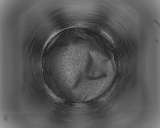 X0000091360800200708241309