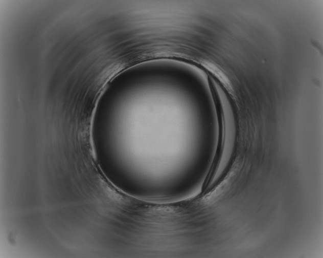 X0000091360801200708241309