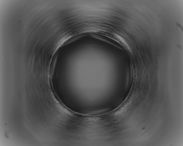 X0000091360802200708241309