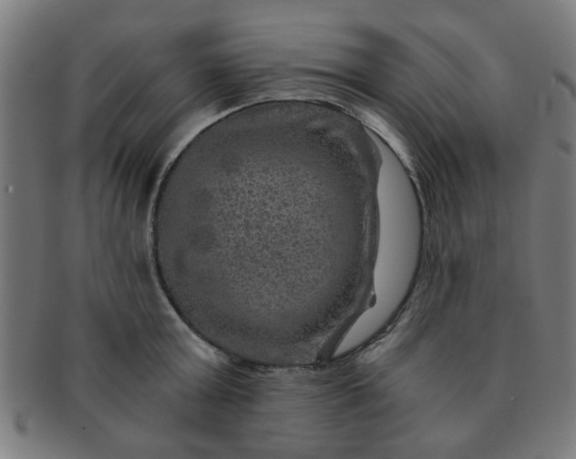 X0000091360803200708241309