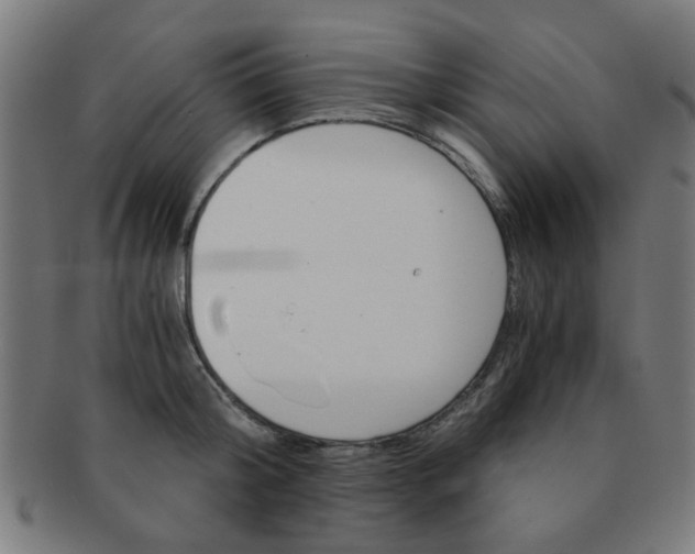 X0000091360804200708241309