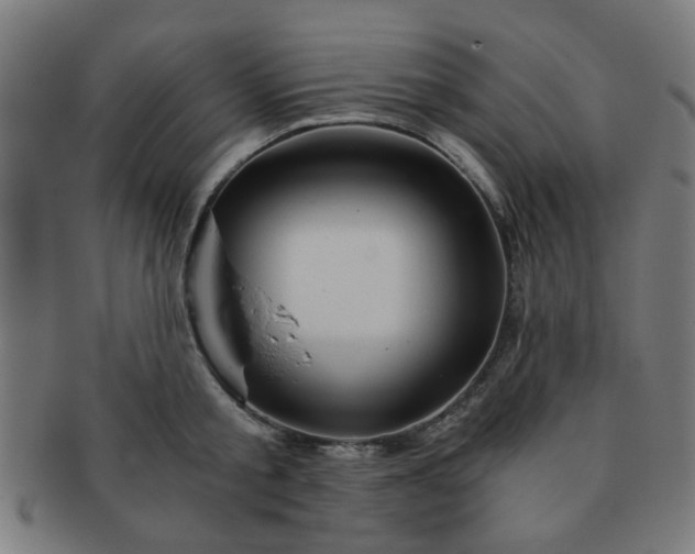 X0000091360805200708241309