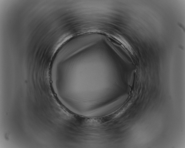 X0000091360806200708241309