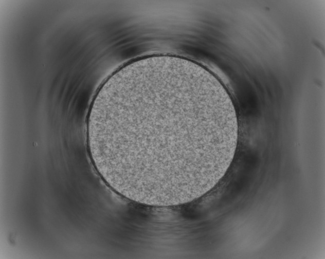 X0000091360807200708241309