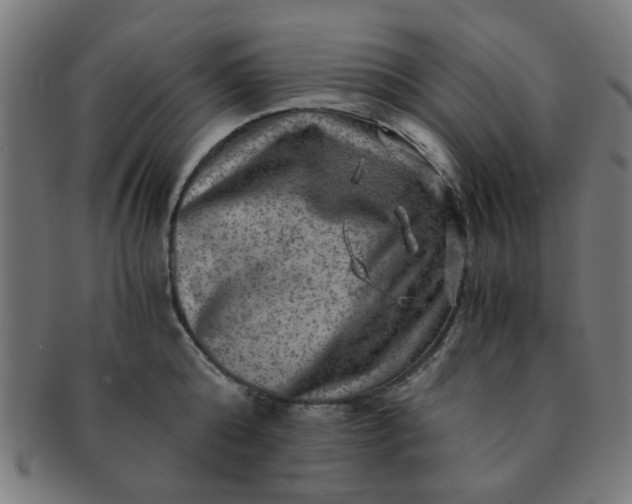 X0000091360808200708241309